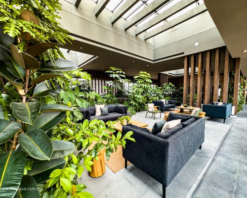 Manigua Interlomas Social Roof Garden